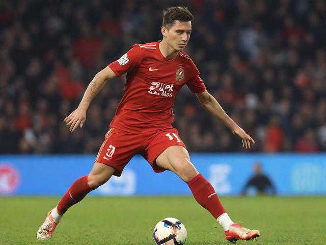 九游JIUYOU SPORTS_ 上海申花主场表现出色，锁定积分榜前三，上海申花主场迁移