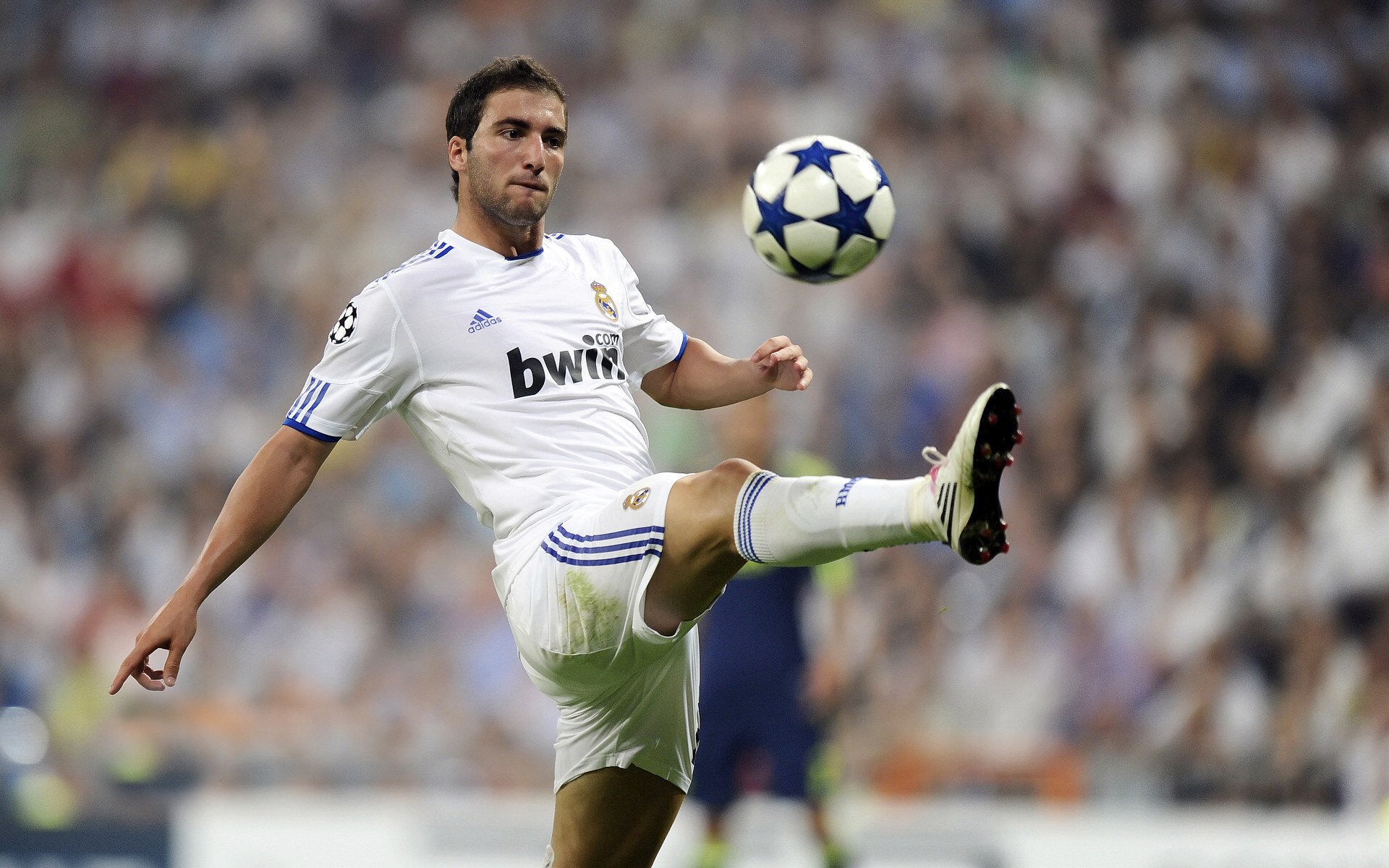 上海绿地申花对阵上海上港，一场内战将谁笑到最后取胜？，上海绿地申花阵容