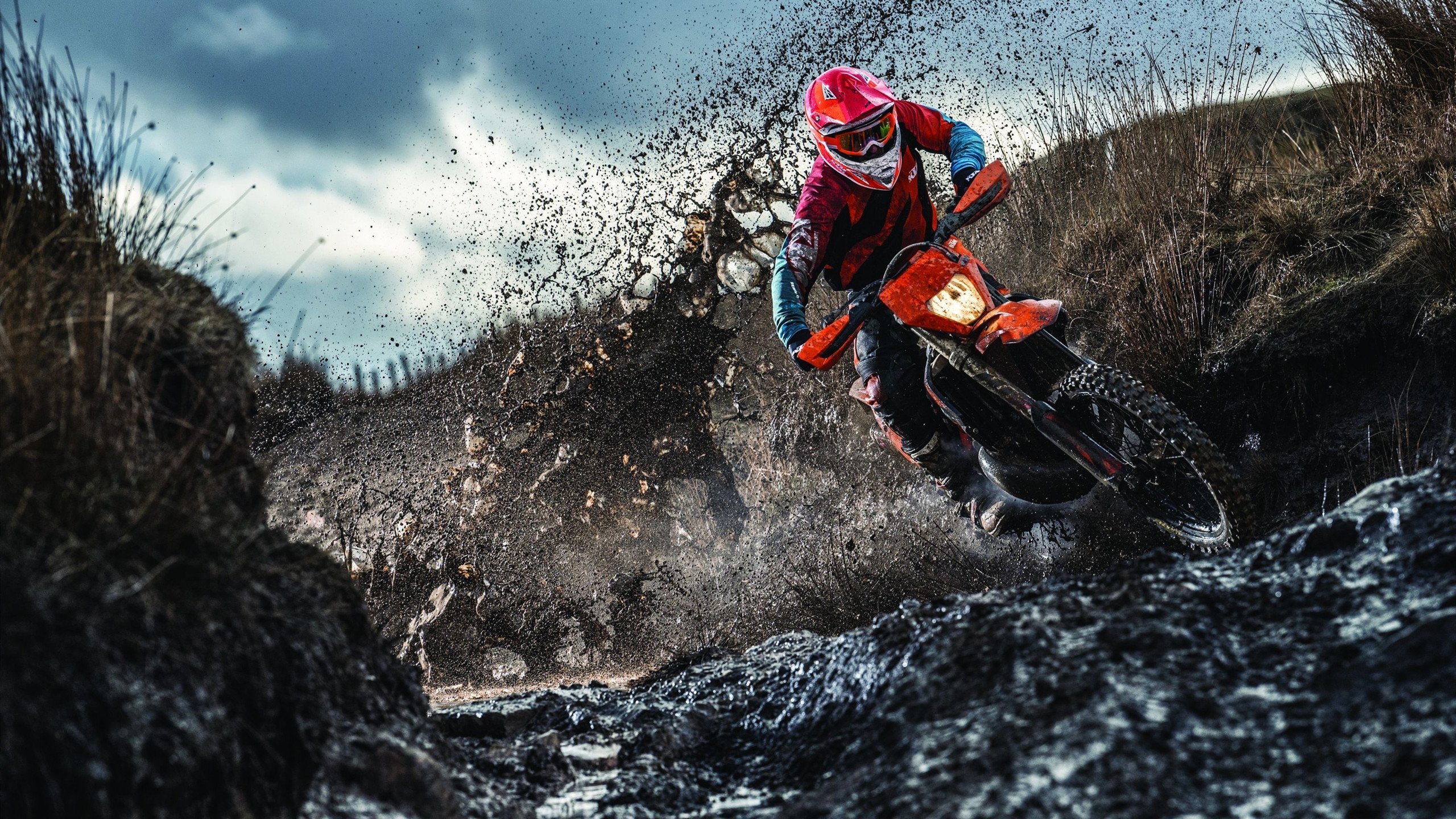 “定向越野：东部新区赛场上演极限徒步挑战”