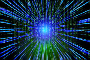 新加坡队未来之路：如何在全球乒乓赛事中争夺更多荣誉，新加坡乒乓球厉害吗